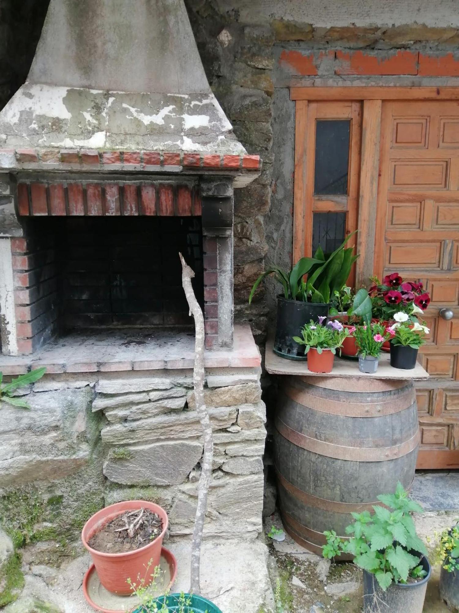 As três irmãs Bragança Quarto foto